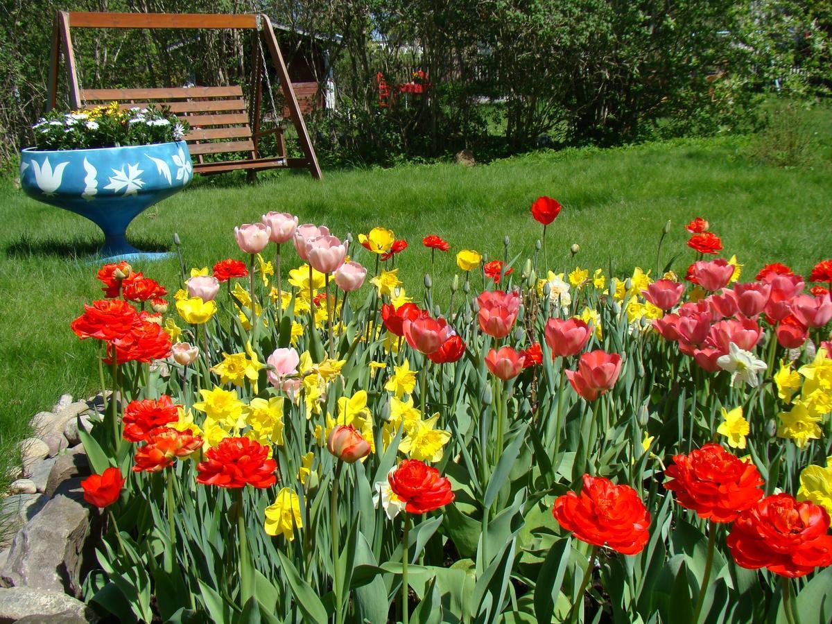 Wonderful Home Bodafors 외부 사진