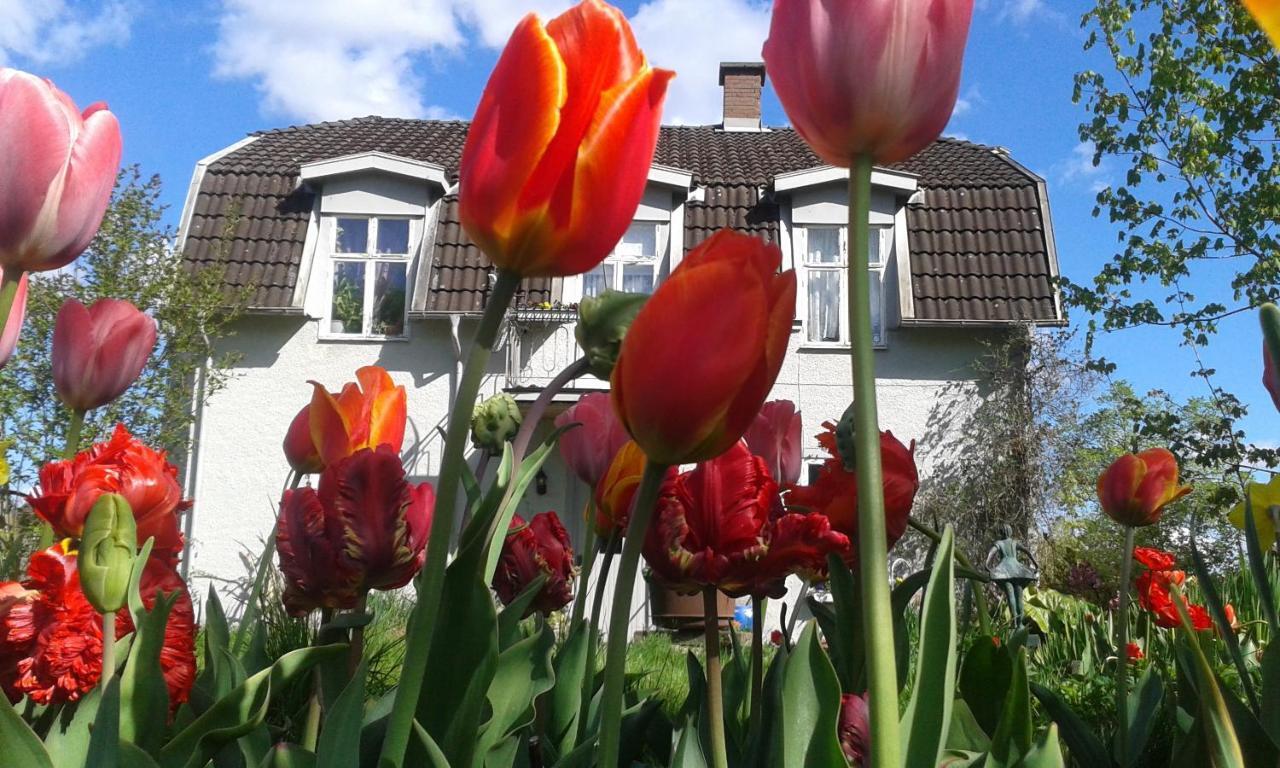 Wonderful Home Bodafors 외부 사진